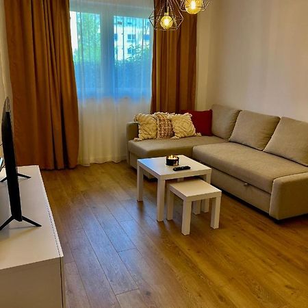 Alexander Cozy Apartment Free Private Parking Mediaş Εξωτερικό φωτογραφία