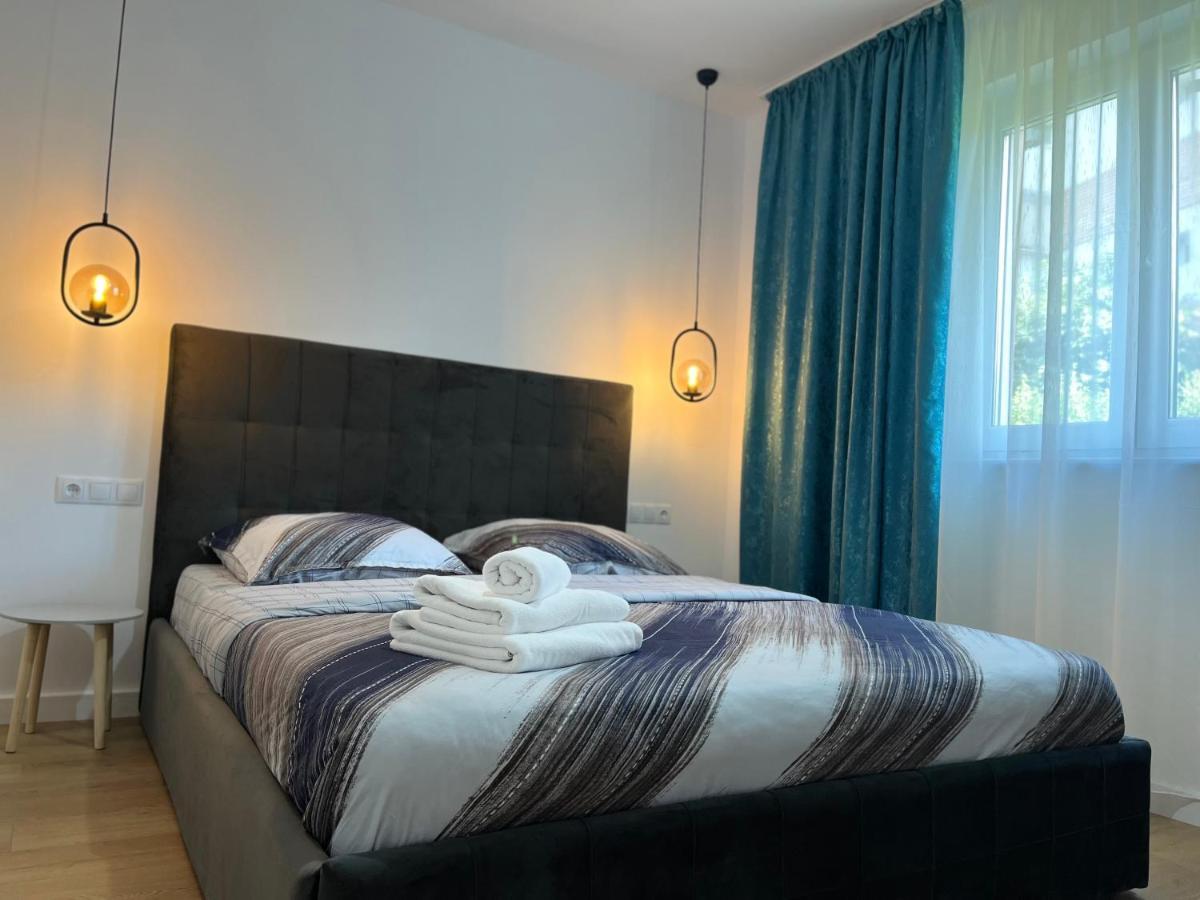 Alexander Cozy Apartment Free Private Parking Mediaş Εξωτερικό φωτογραφία
